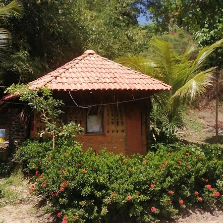 Ecopousada Casa Do Carimbo Fortalezinha Algodoal Eksteriør bilde